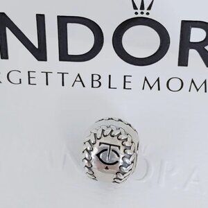 Pandora Minnesota Twins Baseball Charm S925 Silver Bead with box